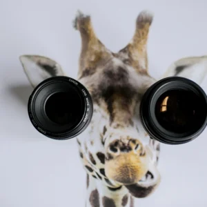 Lentes Progresivos: Ventajas, Desventajas y Cómo Adquirirlos
